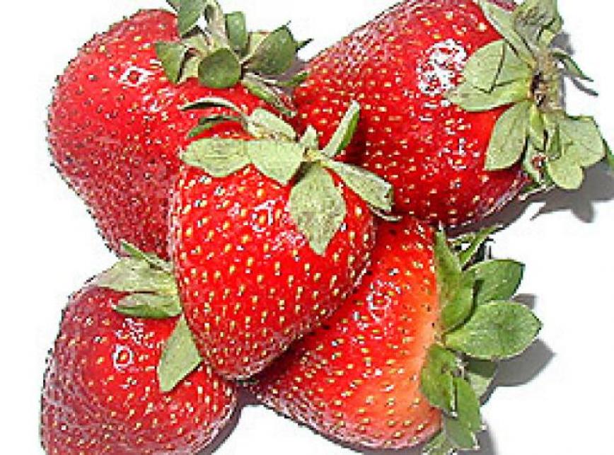 Jagode - izvor vitamina i minerala